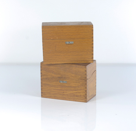 Globe Wernicke Card Box